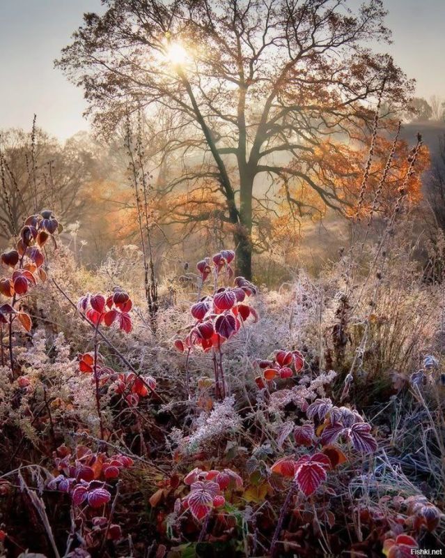 � ����� �� , ��� ���� ��� , ���� , ����� � ��� ������� ���� . �� ����� �� ���� ��� ���� , � ��� �� ����� ��� ������