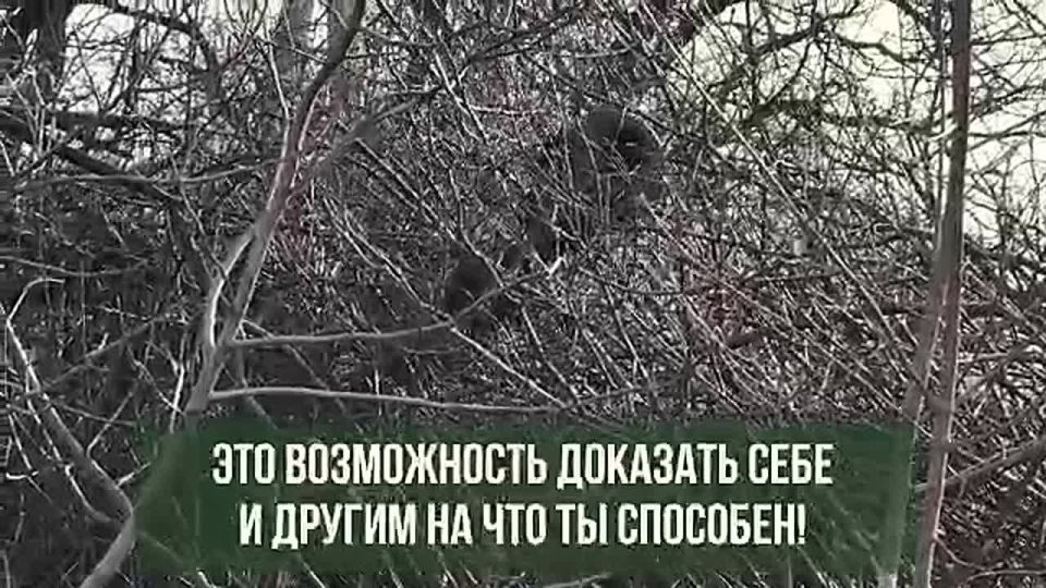 Служение своей стране - это больше, чем просто работа!