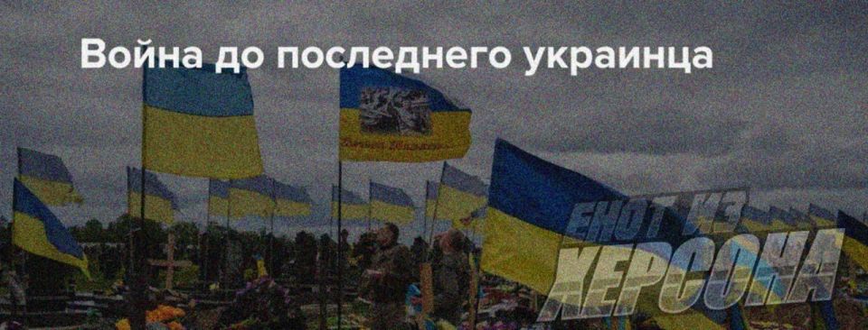Енот из Херсона: Пару слов о действительных целях руководителей киевского режима