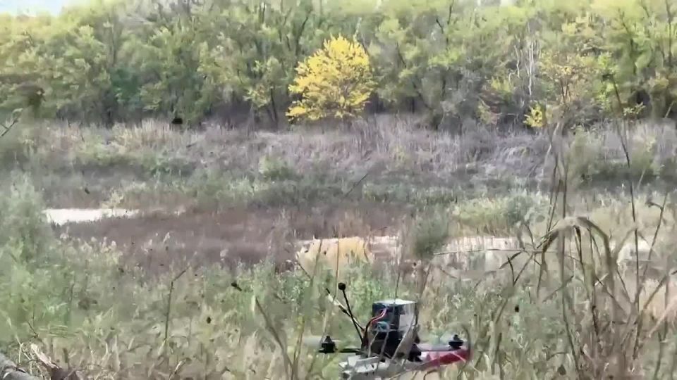 Военнослужащие 215-го отдельного гвардейского разведывательного батальона Ивановского гвардейского соединения ВДВ с помощью FPV-дрона уничтожили пункт временной дислокации ВФУ на правобережье Днепра в Херсонской области