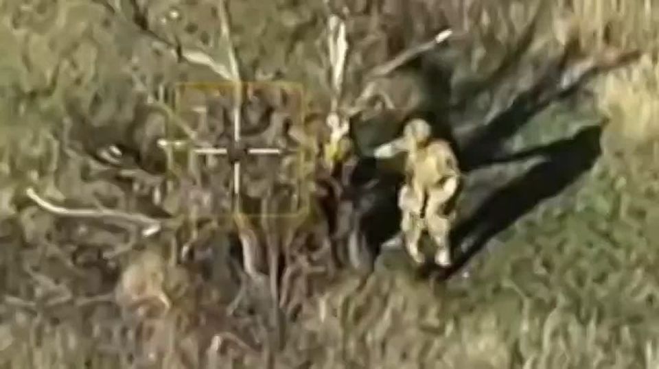 ���������� ���� ���� �������� 7 ������ FPV-�������, ��������� ����������� ����������