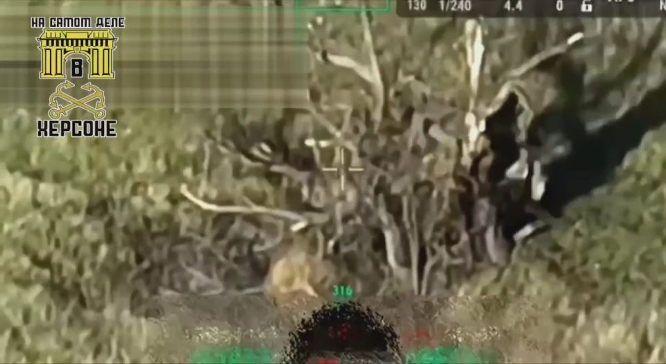 ������� ��������. ���� ������ ��� ������������� � � �������! ��� ������ ���� ��� ������ �� ������������ ���� FPV-������, ������������ ����������� ������ � ������������