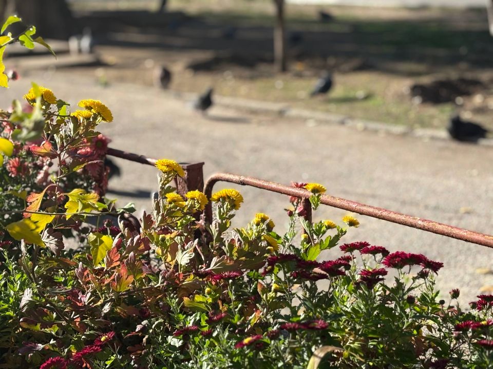 Доброе утро, дорогие жители округа!