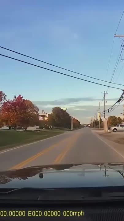 � ���� "�����" ����� �������� ��������� ����� � ��������