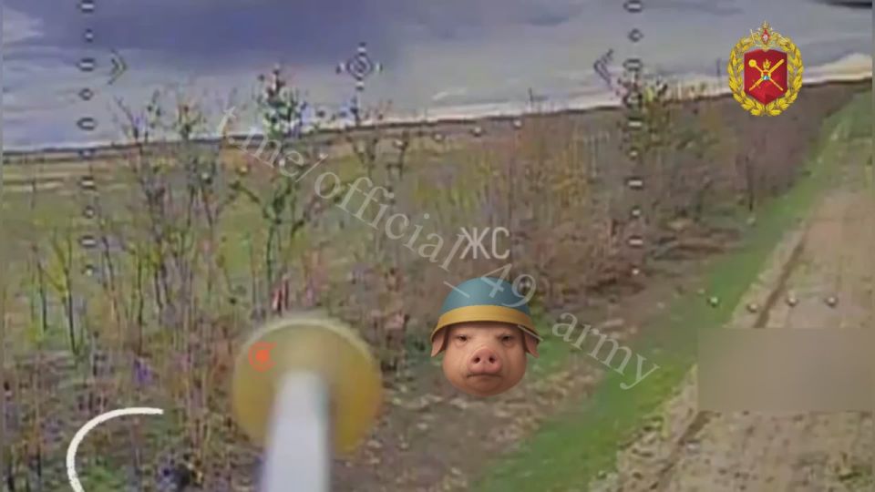 �������� � ���������� ����� ���� ����������, � ����� ��������� ��������� ����� ���������� ����������