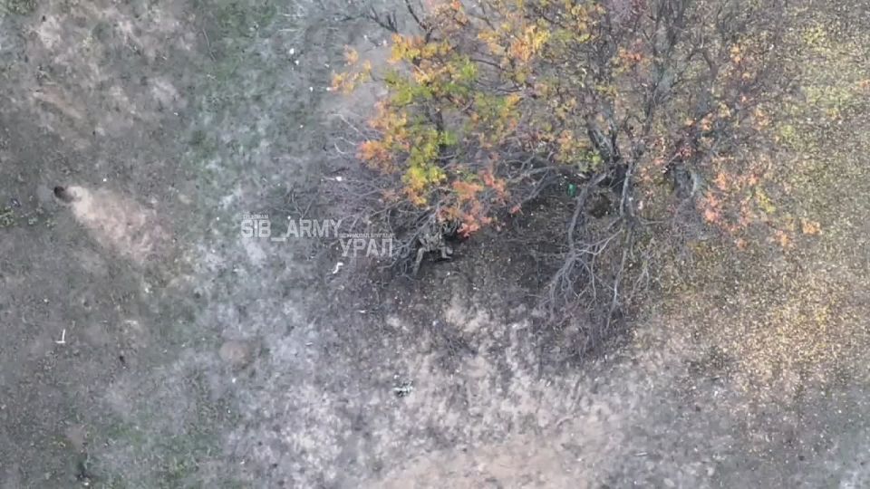 ����� ��������� ������ � ��������� 59-� ��������� ��������� ������� ��� �� ���������� �����������