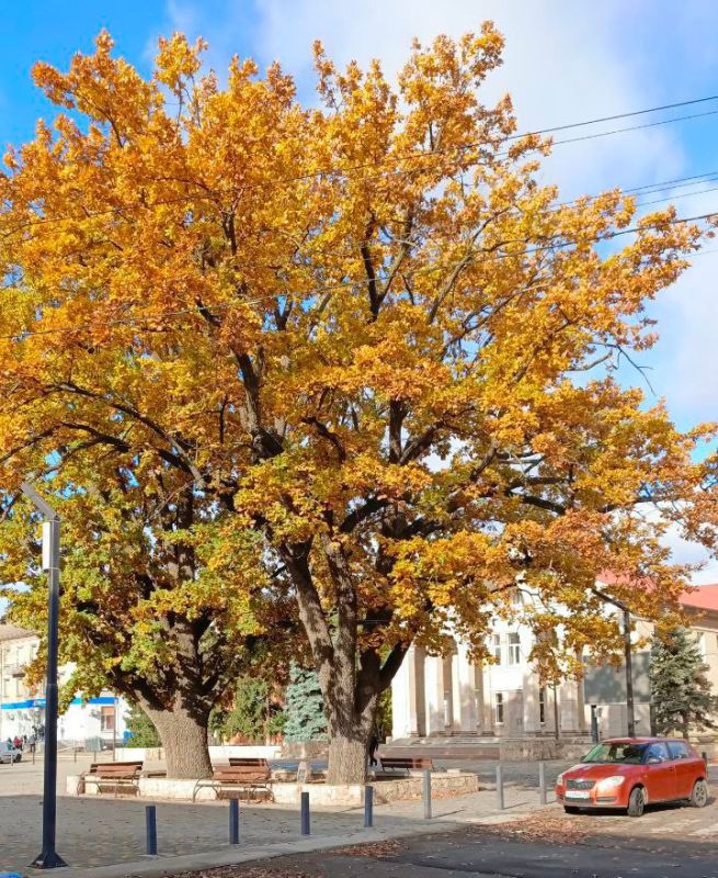 Золото осени окутывает город