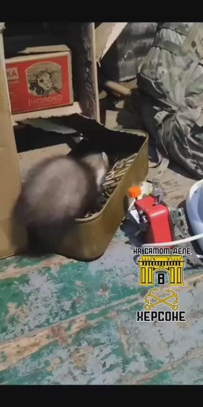 ������� ������. �������� ��� ���� ������ �� ��������� � ������