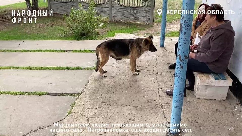 "Стараемся всем помочь": как дружба четырёх соседей из приграничного села спасает сотни людей