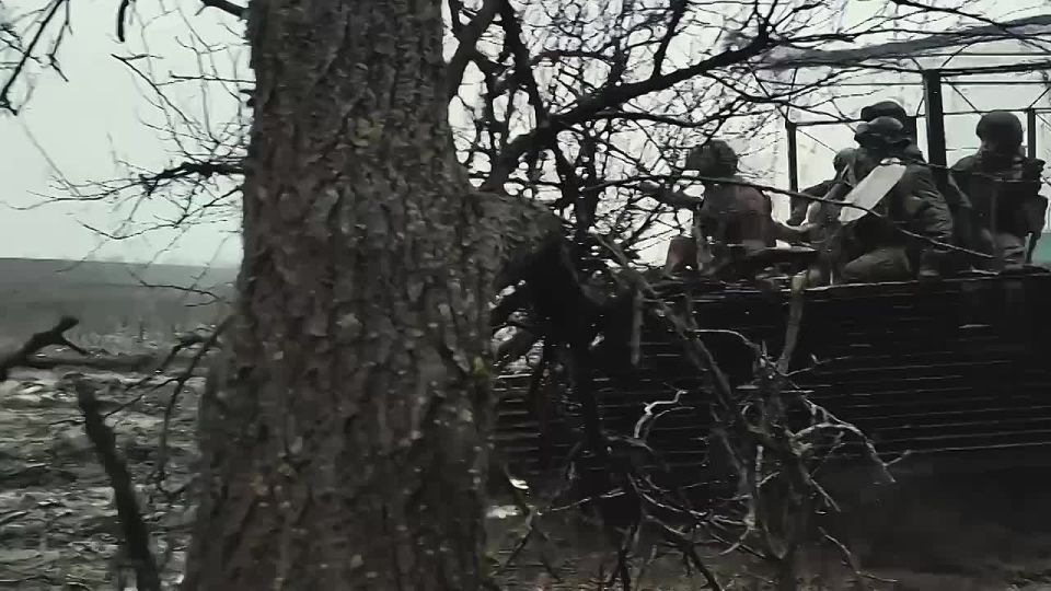 ���� �����. ���� ������. ���� �����