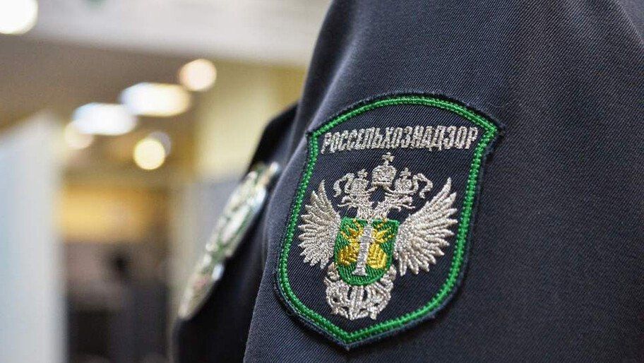 В Херсонской области пытались провезти около 30 телят без документов