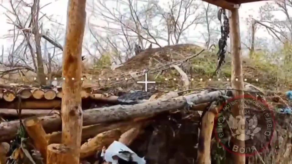 ��������� (�����). - 3 ��������-����� ���������� �������