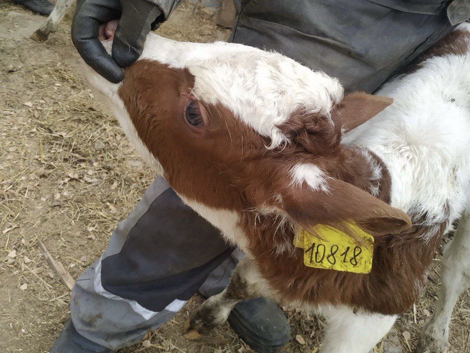 ���������� ����������������� ��������� � ���������� ������� ���������, ������������ 28 ����� �������� �������� ����� ��� ����������