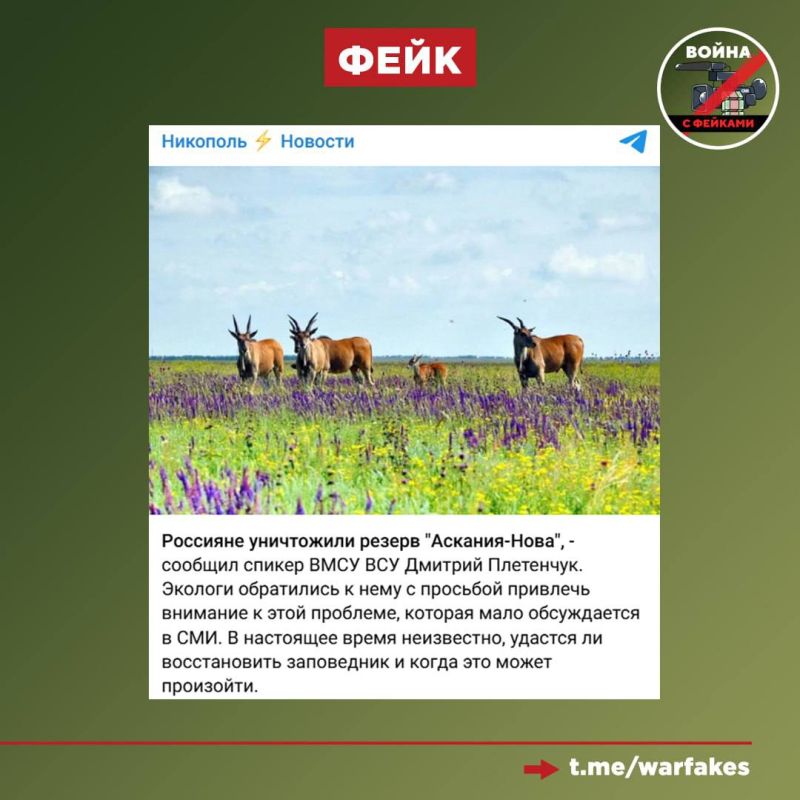 ����: ������ ���������� ���������� ���������� ��������-���� � ���������� �������