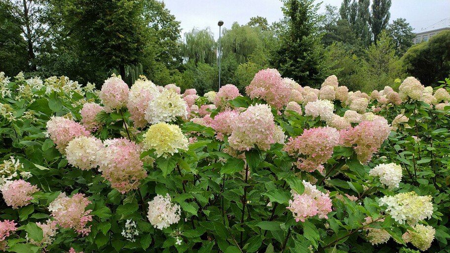 ������� ���������� � �������� ��������� ��������� ����� ��� ������� ��������