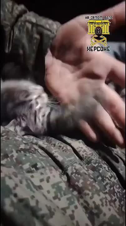 ������ ��� ����� �� �����������, ���� ��������� � ������ ��������!