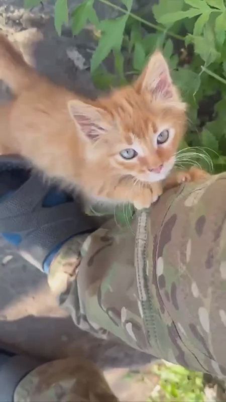 ��� �������� ���� ��������� �������������� ����� �� ���������