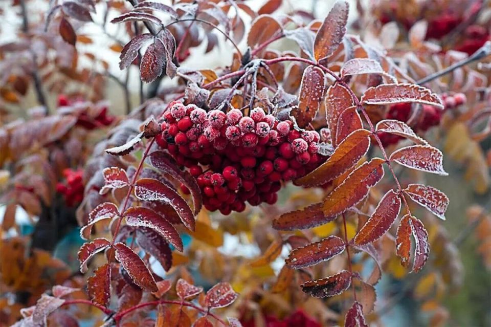 � ������� ����� � ���� ������� , ���� ����� ����� � ������ . ����� ����� ������� ����� , � ���� ���� , � ����