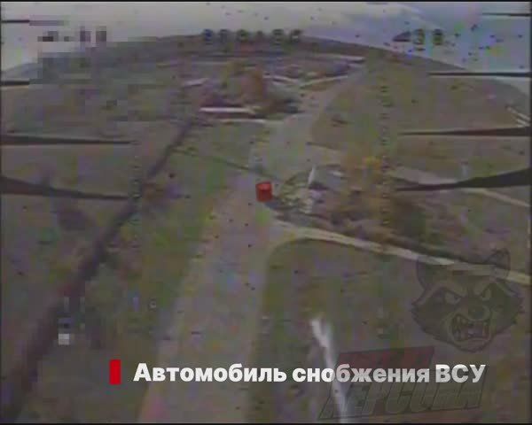 ���� �� �������: ������, �.�. ���������. ���� ������� ������� ���������� ��������� ������