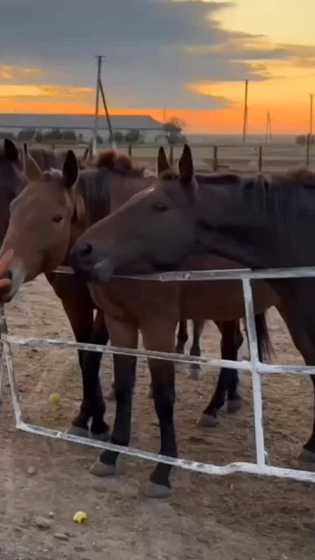 ������ ����� � ���������� ������� ������ ������ �����