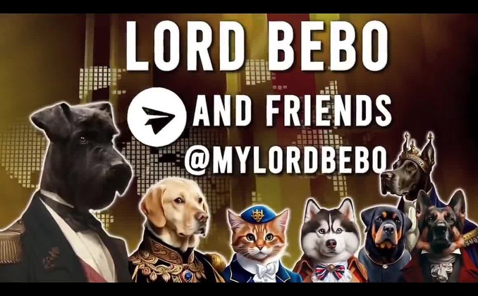 �� ���������� �������� ����������� �����, ��� ������� ������ ������� ���������� ���� ������ ��������