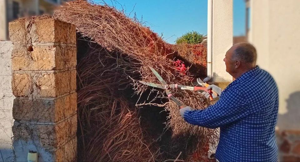 ������� ��������� � ������������ ���������� �����������