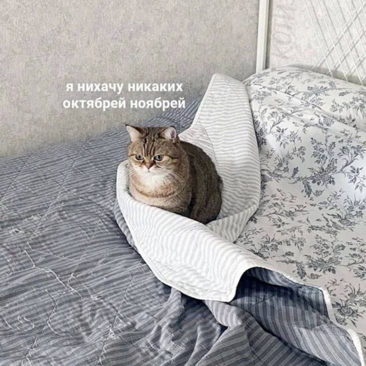 ������ ��������!. � ���������� ������� ������ 9 ������ ��������� ������������ �����, ���������� ����������, ���-��������� ��������� ����� � ����������� ����� 7-8 ��������