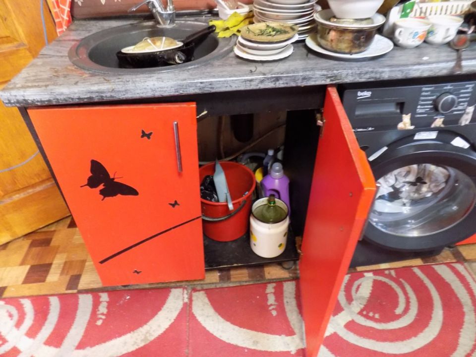 ���������� ������������ ����������� ��������� � ��� ��������� ���� �� ����� ����������� ����� ������������� �������