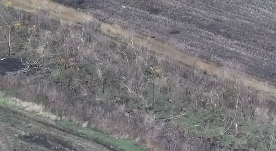 Боевики ВСУ пытаются выйти из Покровского "котла"