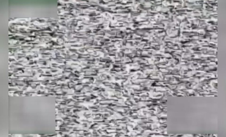 ������� FPV-������ 77-�� ��� ���������� � ���������� ���������� ����������� ���� �����-��� ������ � ����������, ���������� ��� �������