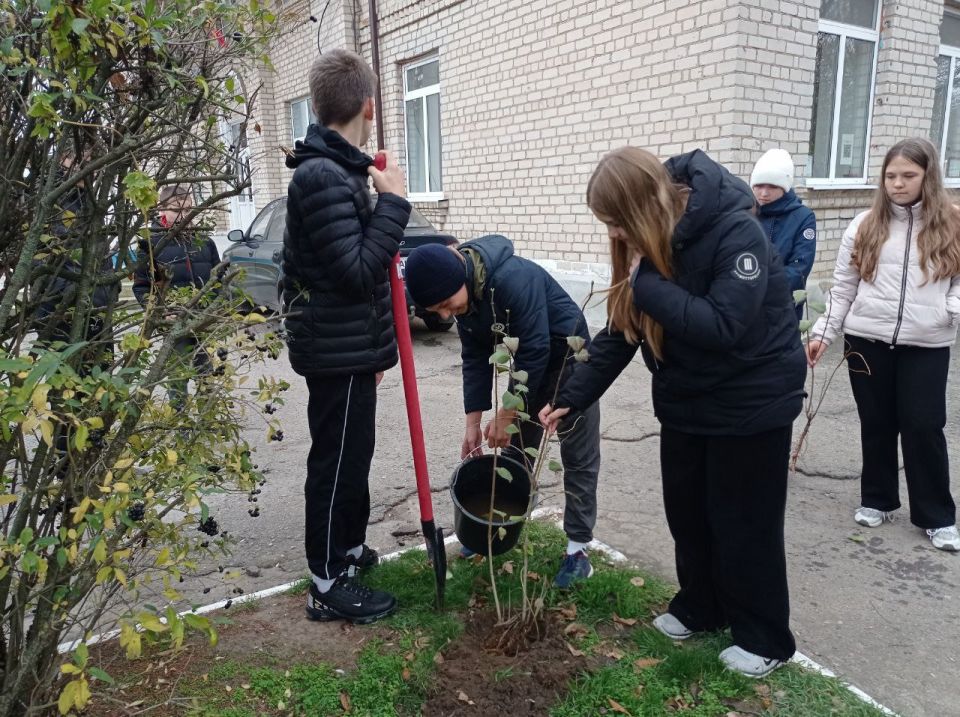 "���� �������" �������������� ��������� ���� �������� ����������� �������������� ������ �������� ������� ����� ������