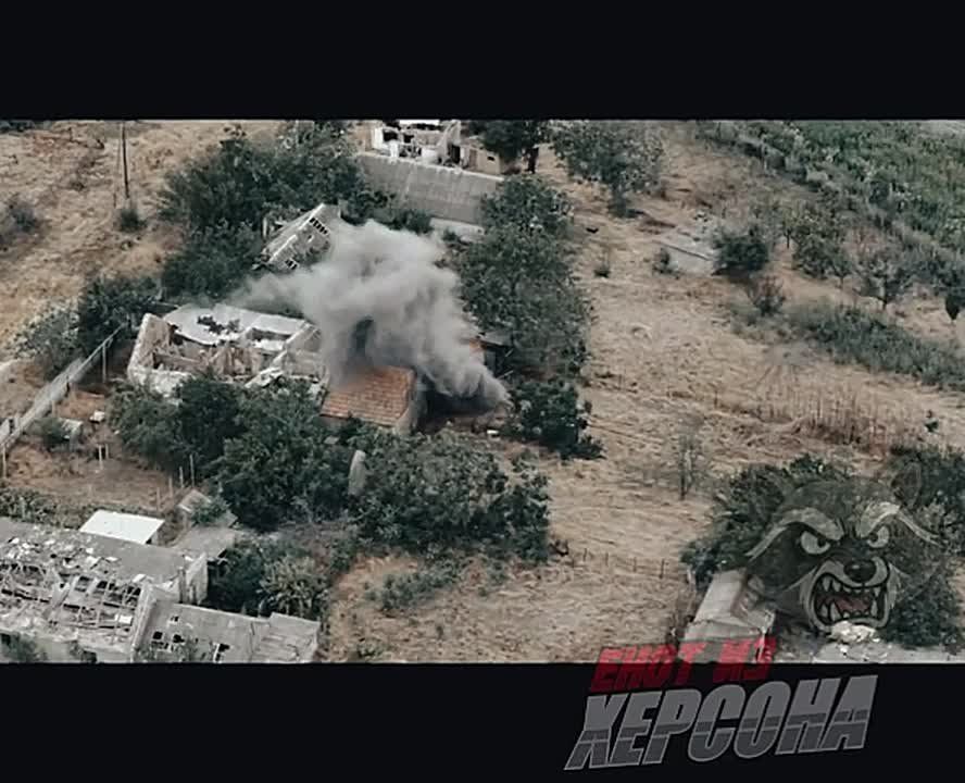 ���������� �����������. ����������� ������ ����������� ���������� ������ ���������� FPV-����� ���� �� �������