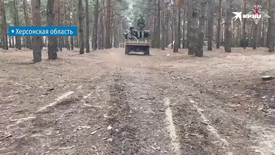 ����� ����������� ������� �������� � ���������� ������� ������������ ���