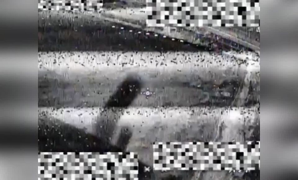 �������������� 77-�� ��������������� ����� ���������� �������� ������� ���� ��� ���������