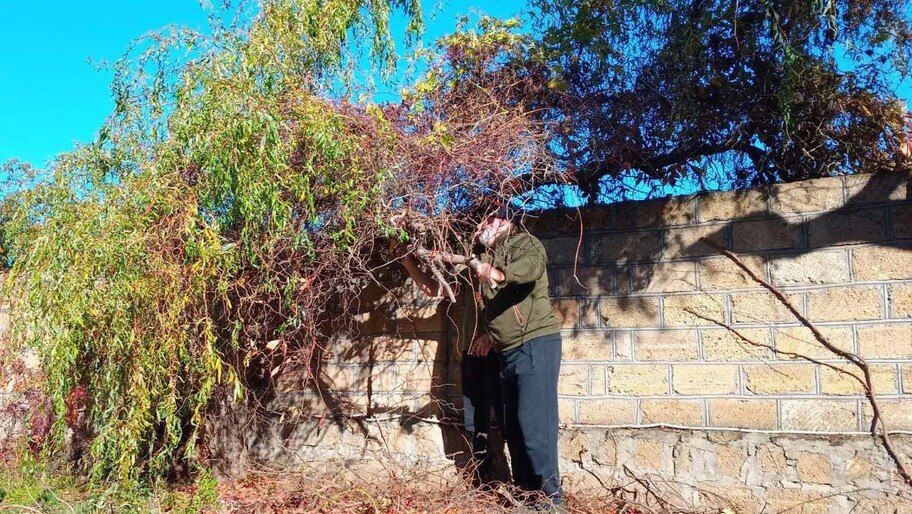 ���������� ������������� ����������� ����������� ������� ���������