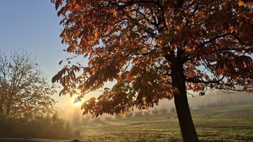 Настроение: наслаждаться яркими красками осени и прислушиваться к шороху листьев