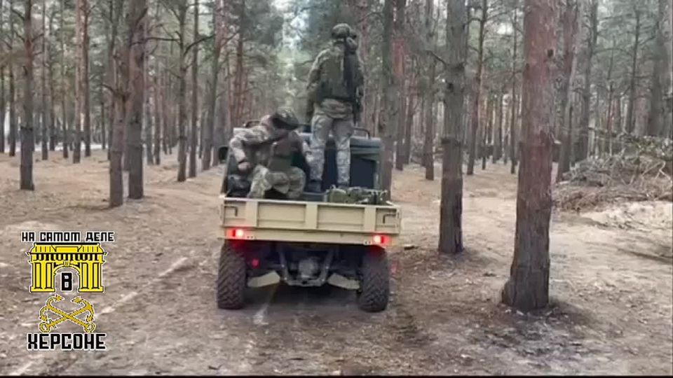 ������ ���� 80-� ������� ��������� ������������ ���� ���������� � ������ ������