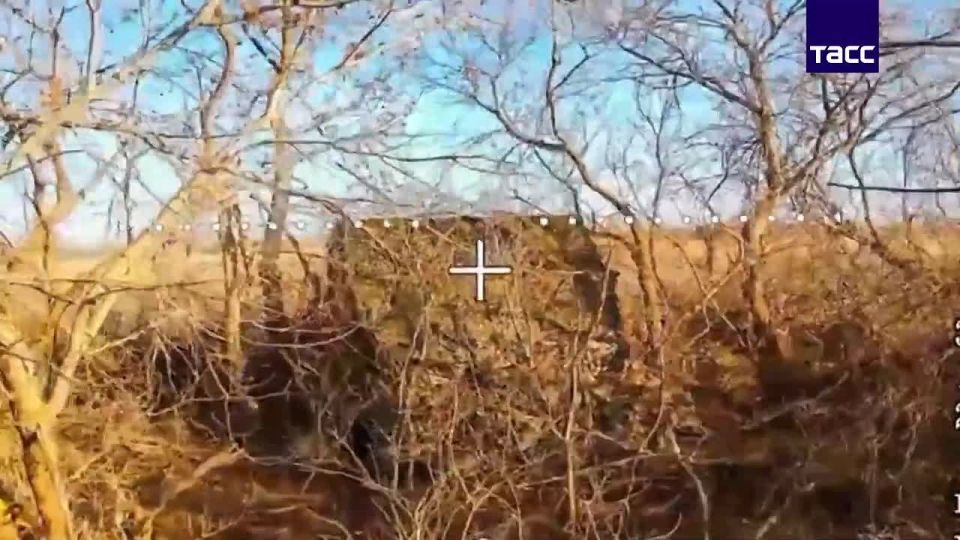 ����� ������������ ����������� ������ ������ � ����������� �������