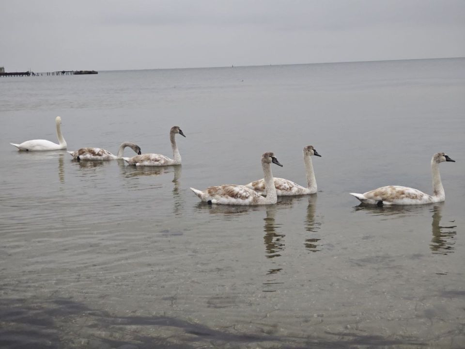 Любуемся красотами Скадовска