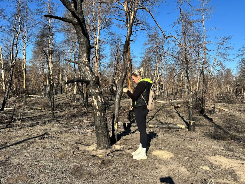 � ���������� ������� �������� ������ ������ ��������, ������������ �� ����, ����� �������� ��������� �� ��������������