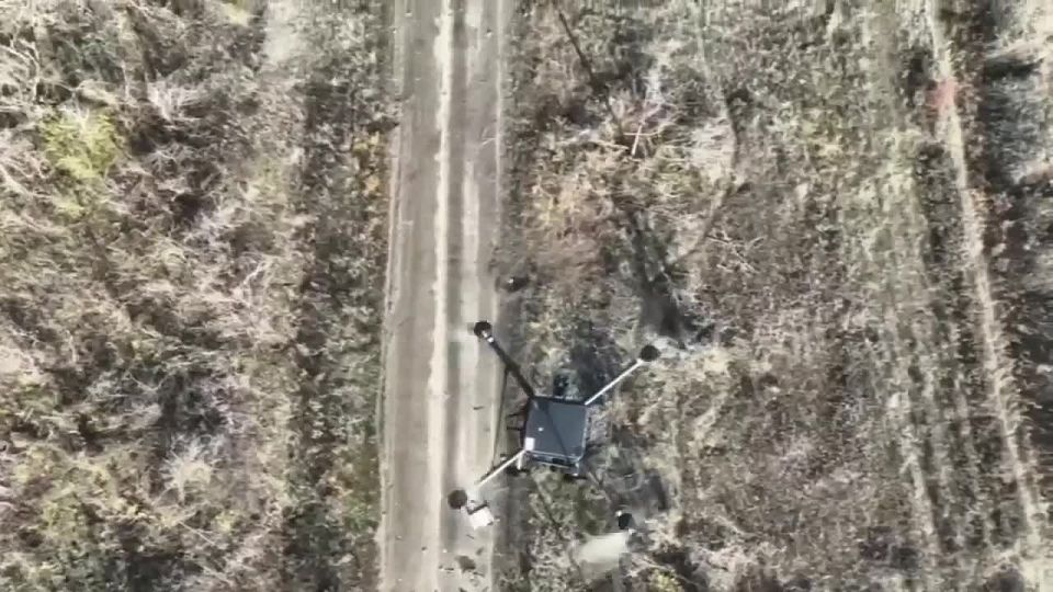 ���������� ���� ������ ������� ���� ���������� ����