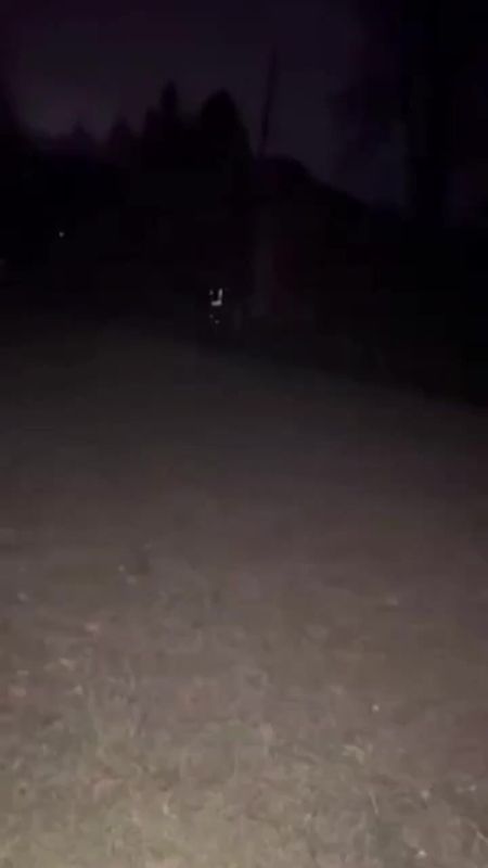 ������ ������ �� ������������� ���� � ��������, ���������� �������