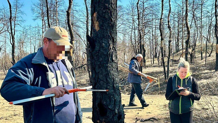 ����������� ���������������� ������� ����������� ����, ������������ �� �������