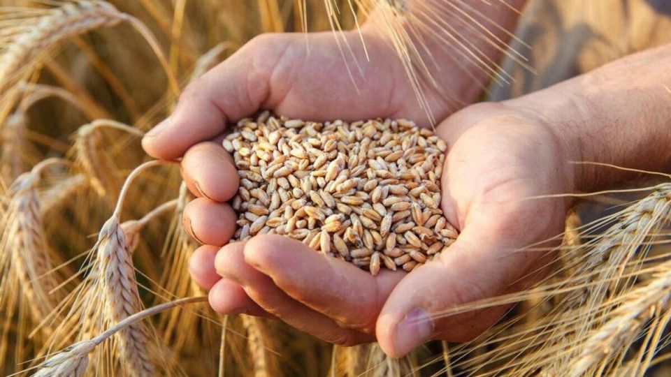 � ���� � ����������� �� ��������� ����� �������� ���� �������� �����