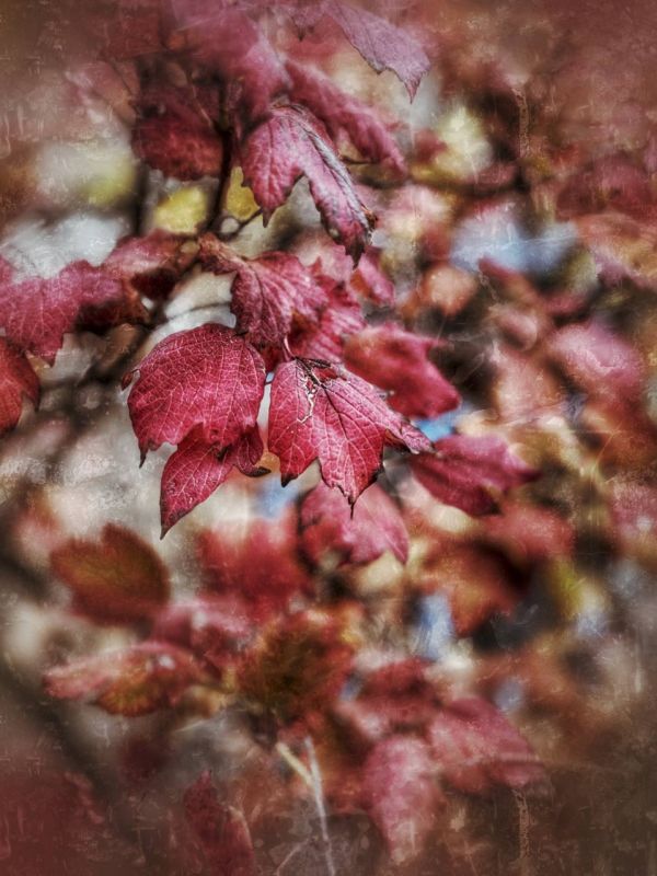  :        @dolgareva_bot