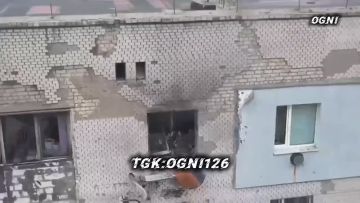  .     ,      ,               -   