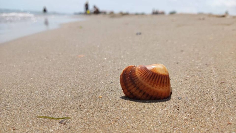 Отпуск без дорожных испытаний