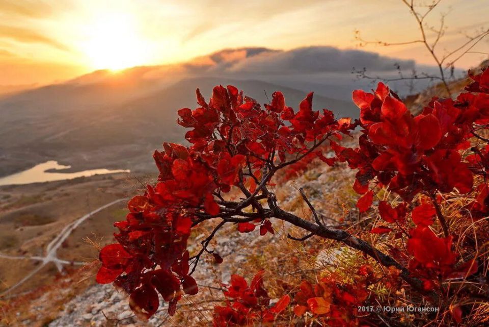 ������ ����, ����������!. ���� �����, ������ � � �������, �����