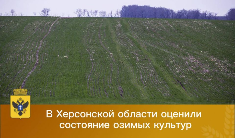 ��������������� ������ ��������� ������ �� ���������� ���������� �������