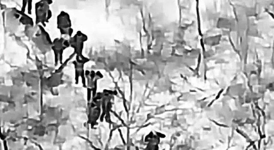 «Гарнизон сломался»: сдача 25 элитных морпехов под Покровском – начало массовой капитуляции?